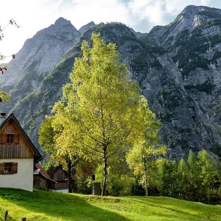 Cottages Kravanja Trenta Exterior foto