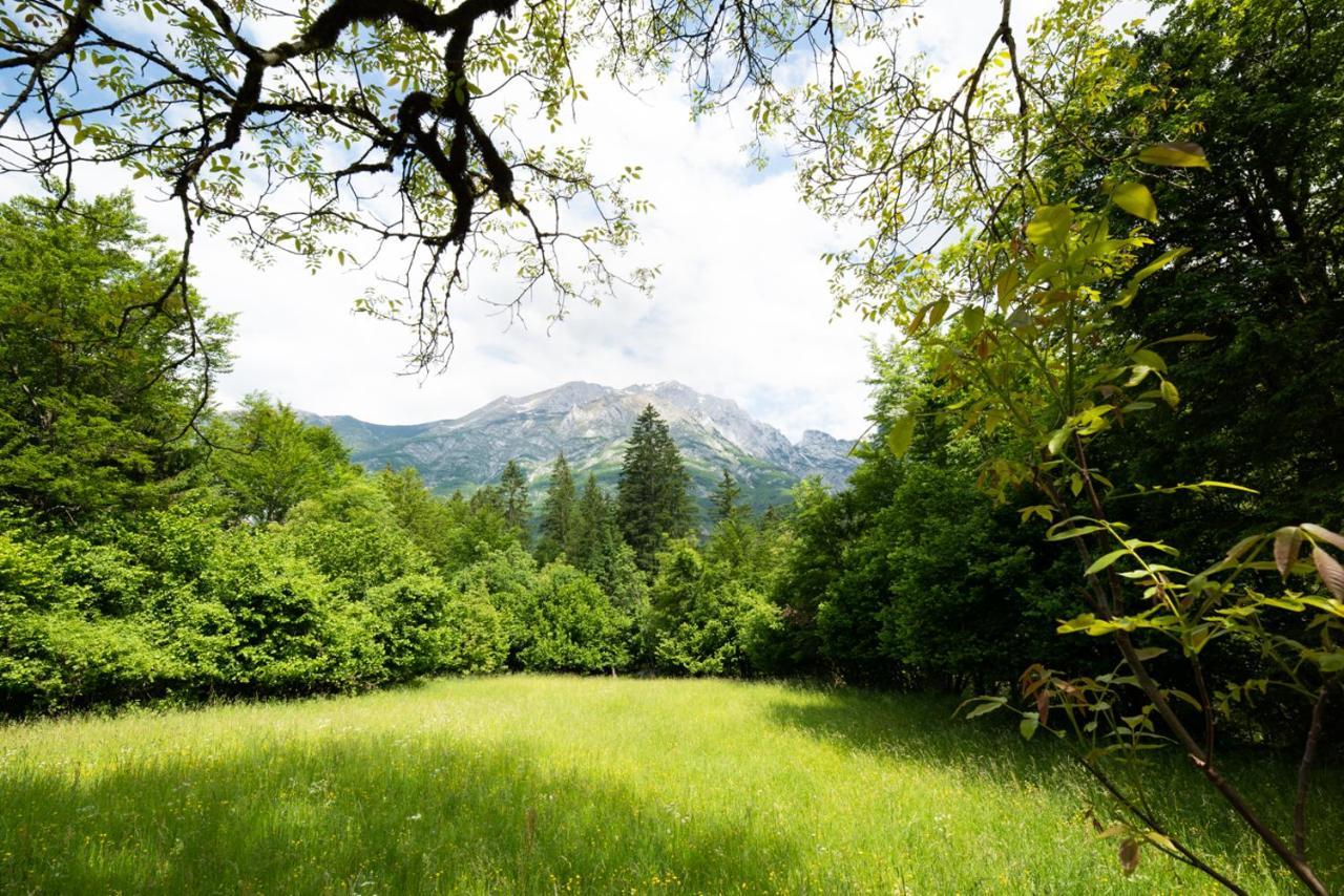 Cottages Kravanja Trenta Exterior foto